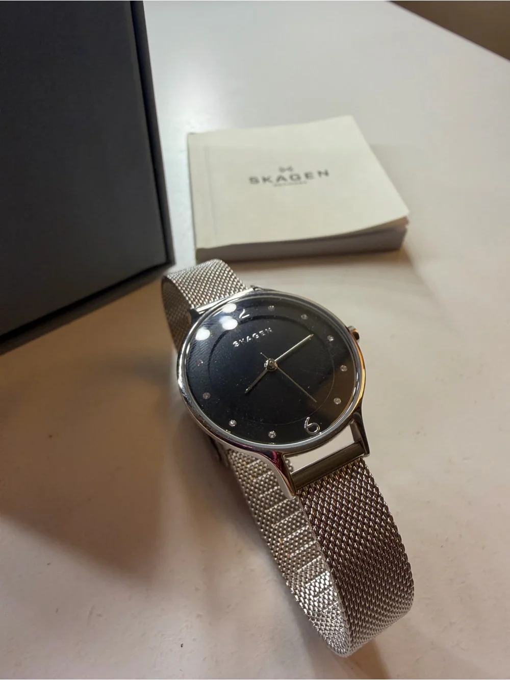 Skagen Women’s Anita Silver Mesh Watch with Black Dial (SKW2473)